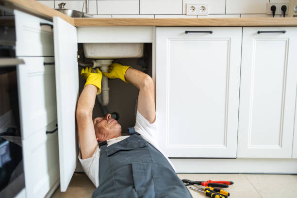 Best Plumbing Services Near Me  in Fairview Ferndale, PA